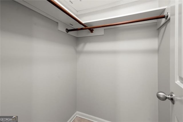 view of spacious closet