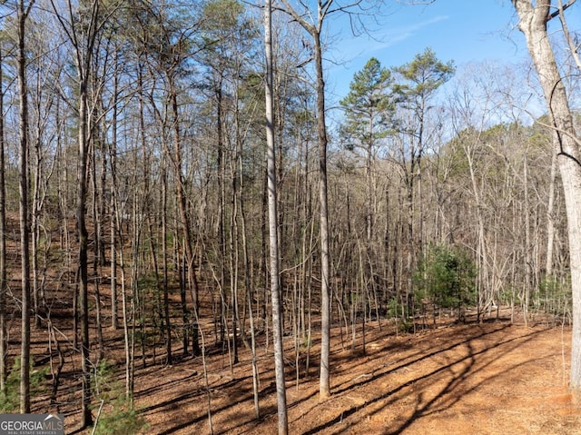 view of landscape featuring a wooded view