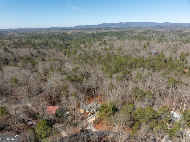 bird's eye view with a mountain view and a wooded view