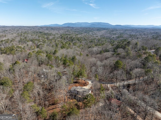 birds eye view of property featuring a forest view and a mountain view