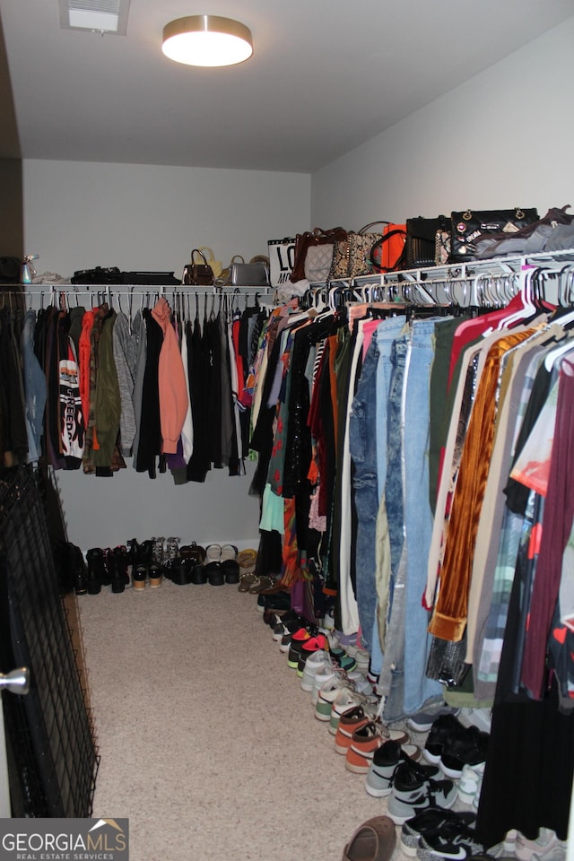 view of spacious closet