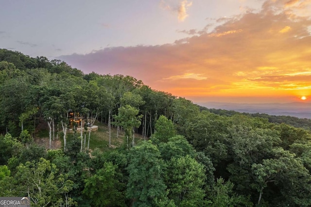 view of nature with a forest view