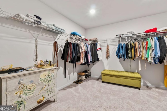 spacious closet featuring carpet floors