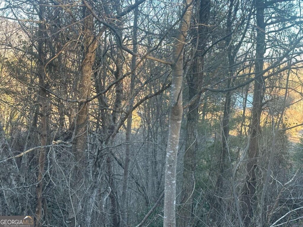LOT40 Overlook Trail 40, Hiawassee, GA 30546