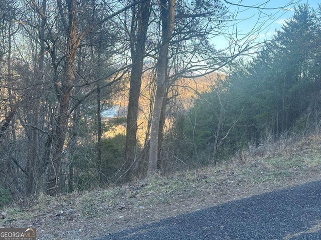 Listing photo 3 for LOT40 Overlook Trail 40, Hiawassee GA 30546