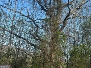 LOT40 Overlook Trail 40, Hiawassee, GA 30546