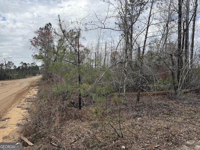 0 Halls Bridge Rd, Swainsboro GA, 30401 land for sale