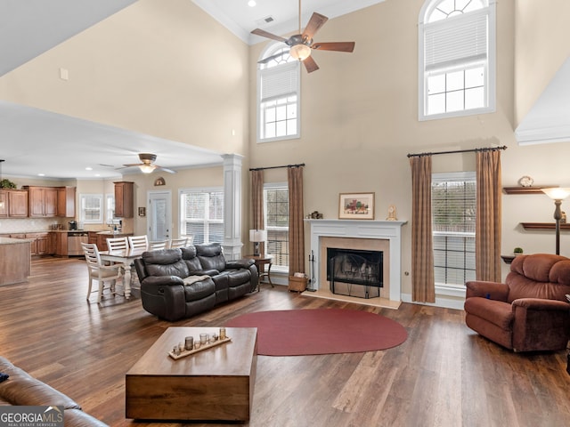 living room with dark wood finished floors, a wealth of natural light, a fireplace with flush hearth, and ornate columns