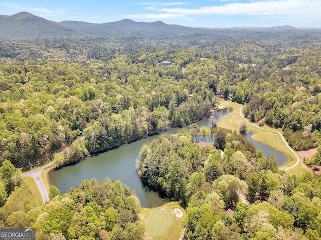 birds eye view of property with a forest view and a water and mountain view