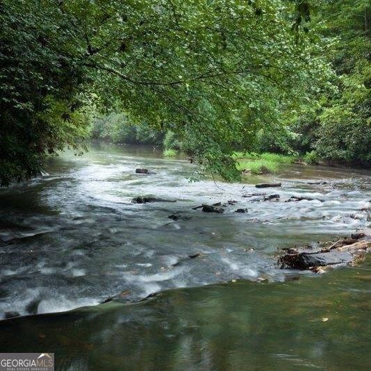 view of water feature featuring a forest view