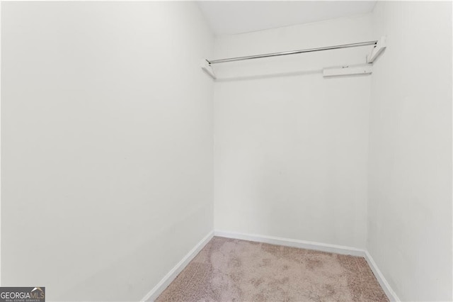 spacious closet featuring light carpet