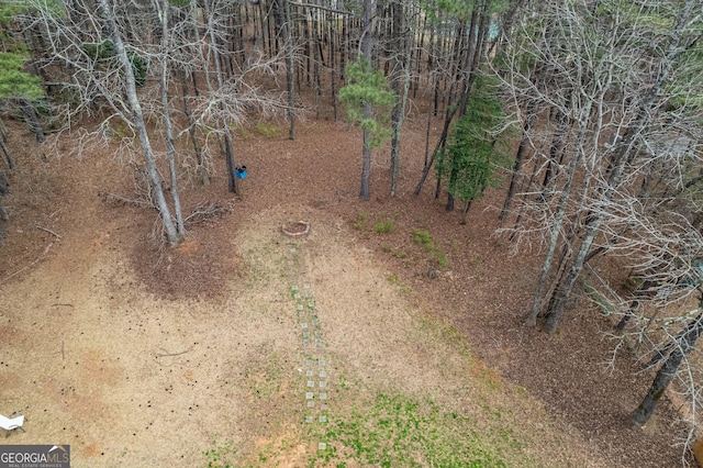 view of local wilderness