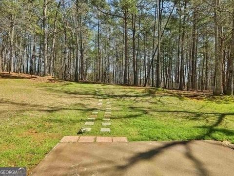 view of yard featuring a wooded view