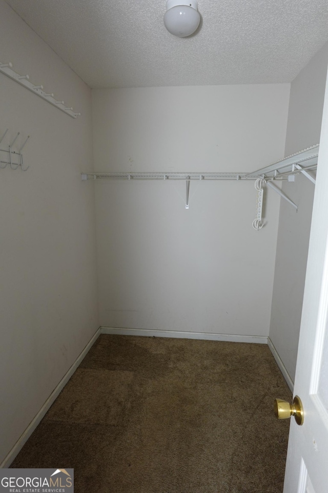 walk in closet featuring carpet floors