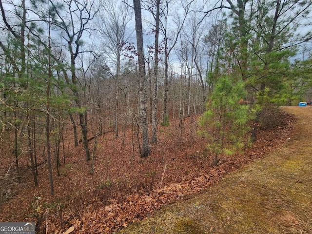 Listing photo 2 for LOT9 Harris Creek Dr, Ellijay GA 30540