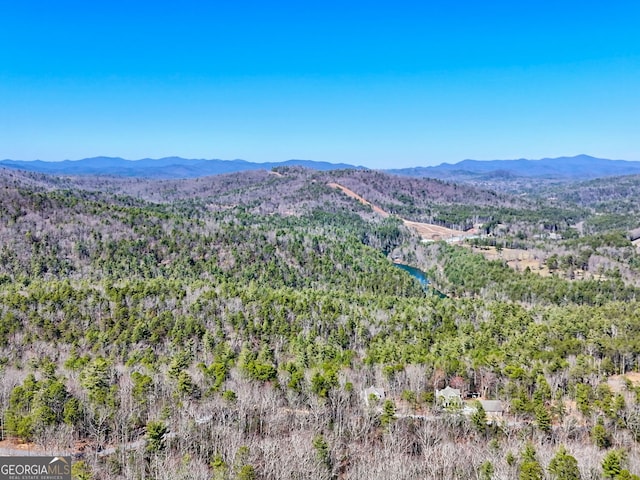 view of mountain feature featuring a wooded view