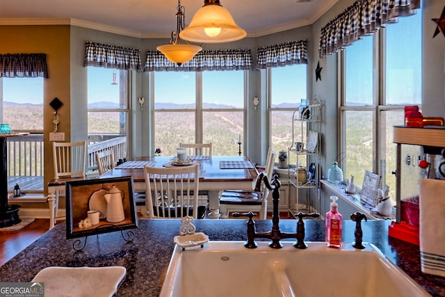 dining room with crown molding, wood finished floors, and a mountain view