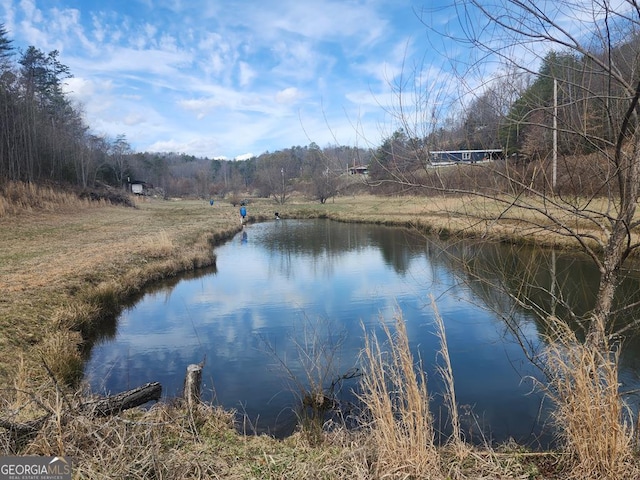 31.53ACRES Barnett Rd, Murphy NC, 28906 land for sale