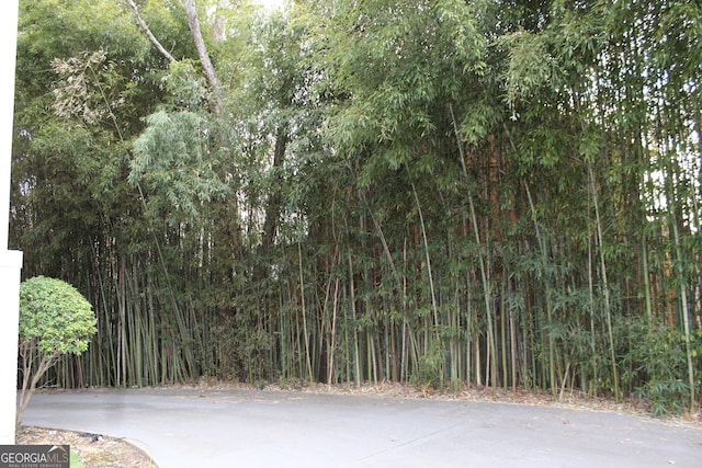 view of street featuring a wooded view