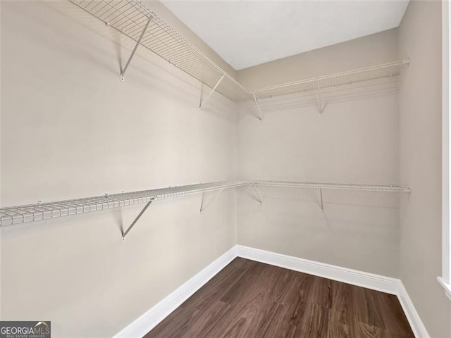 walk in closet with dark wood-type flooring