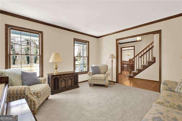 carpeted living room with stairs, baseboards, and crown molding