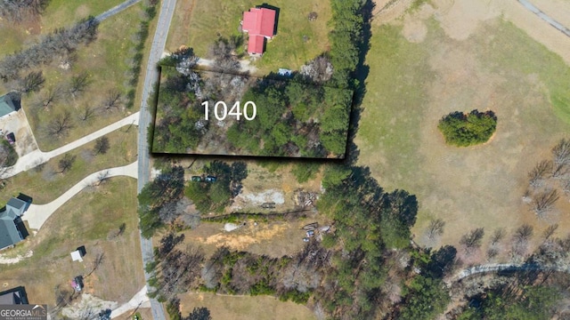 1040 Twin Rivers Rd, Greensboro GA, 30642 land for sale