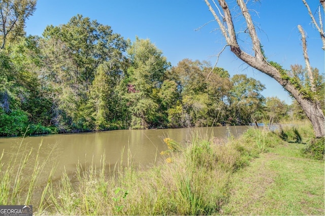 property view of water with a view of trees