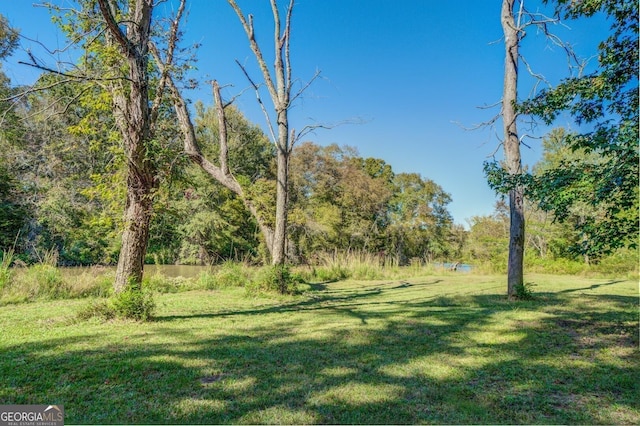 view of yard featuring a view of trees