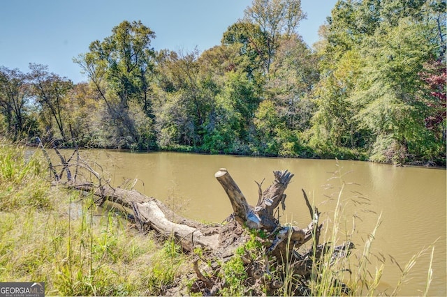 property view of water with a view of trees