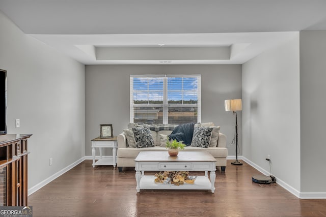 living area with dark wood-style floors, a raised ceiling, and baseboards