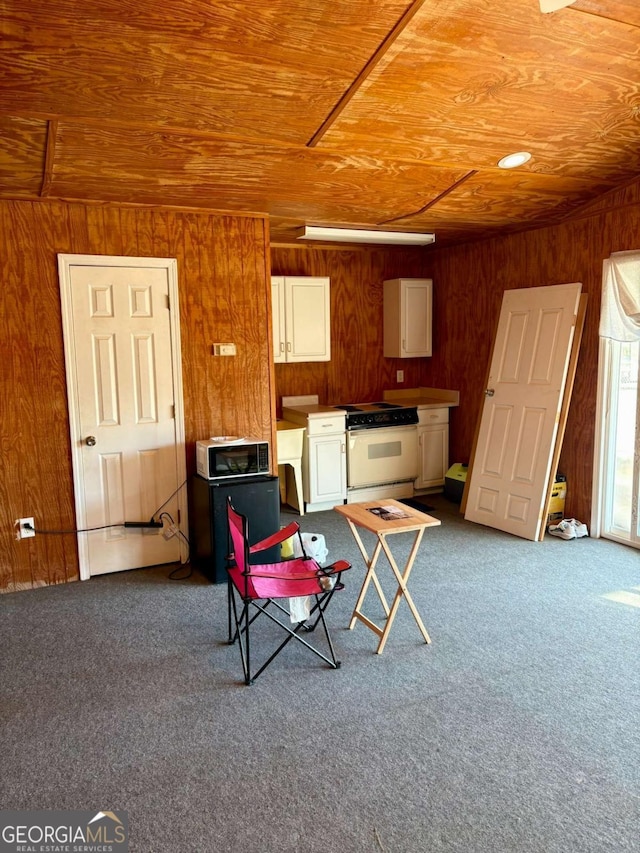 interior space featuring wood walls, carpet, and wooden ceiling