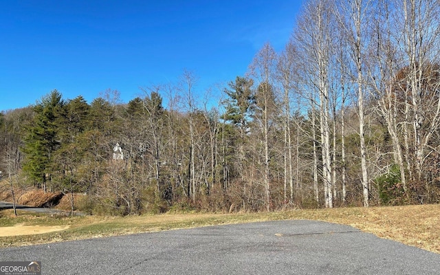 LOT133A Mountain Harbour, Hayesville NC, 28904 land for sale