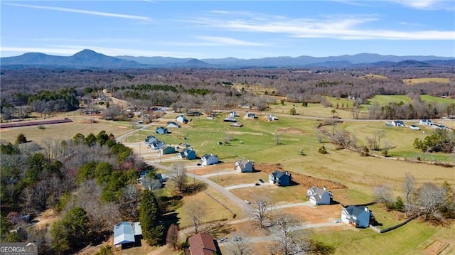 birds eye view of property featuring a mountain view