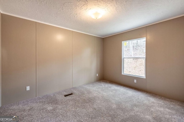 2859 Fortner Rd, Ball Ground, GA 30107 - carpeted empty room featuring a textured ceiling, ornamental molding, and a decorative wall
