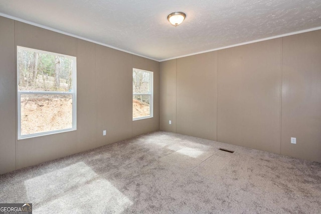 2859 Fortner Rd, Ball Ground, GA 30107 - carpeted empty room with a decorative wall and crown molding