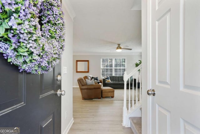 foyer entrance with light wood finished floors, baseboards, ceiling fan, stairs, and crown molding