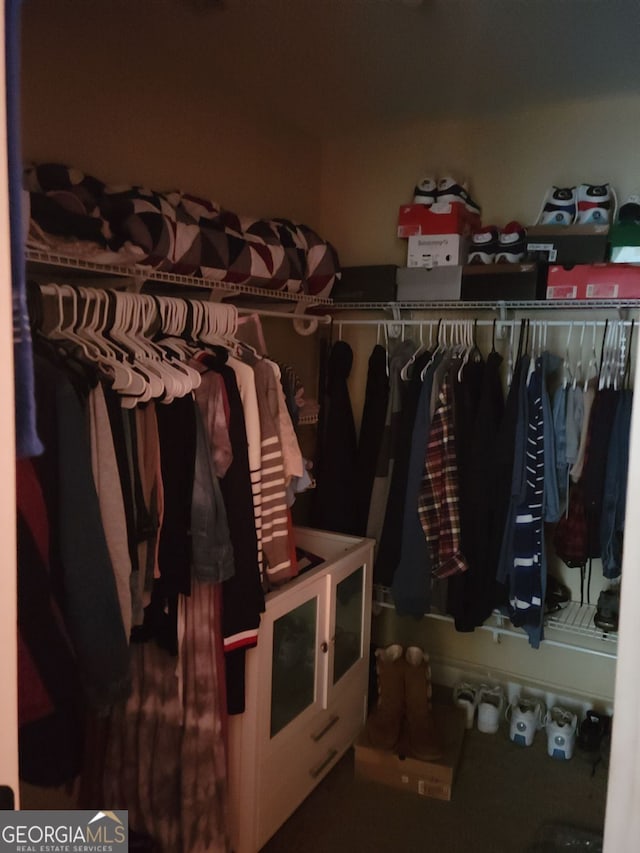 view of spacious closet