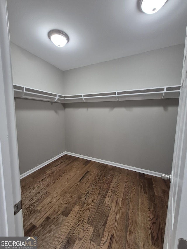 walk in closet with dark wood finished floors