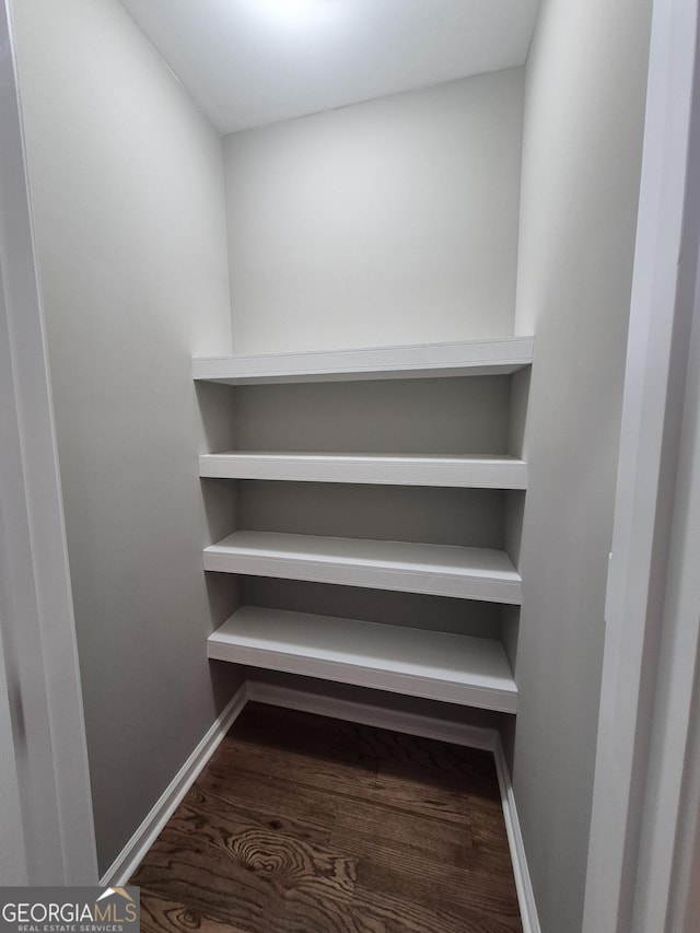 walk in closet featuring wood finished floors