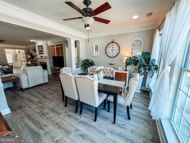dining area with a ceiling fan, crown molding, visible vents, and dark wood-style flooring