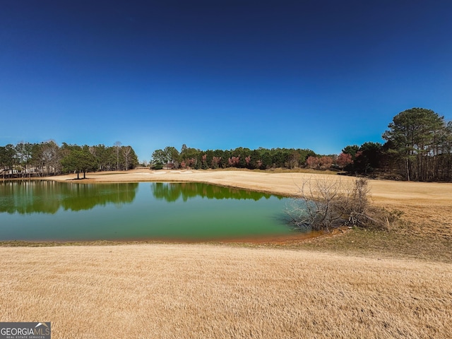 property view of water