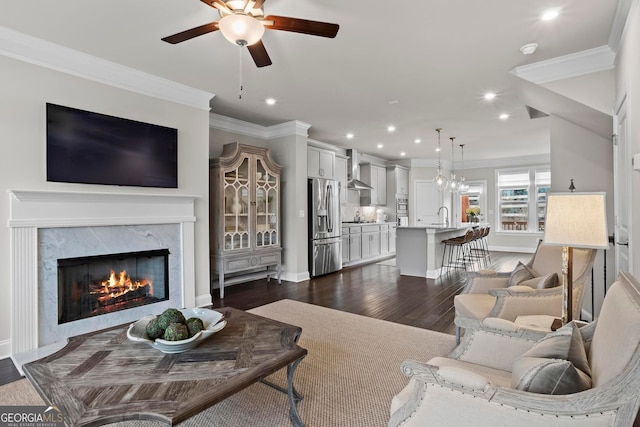 living area featuring ornamental molding, a premium fireplace, and dark wood finished floors