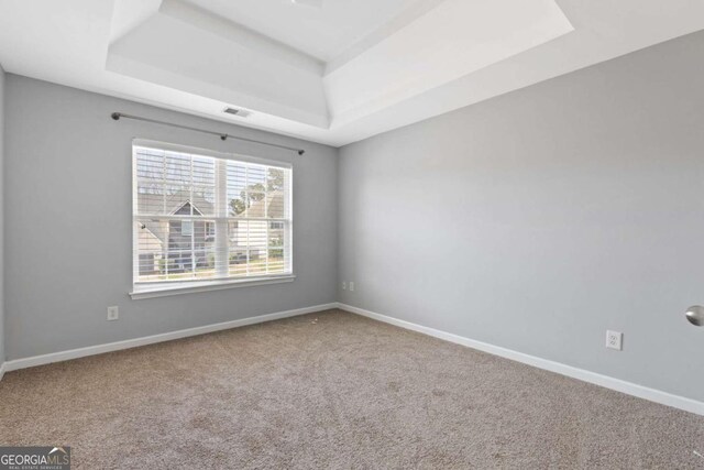 carpeted spare room featuring a raised ceiling and baseboards