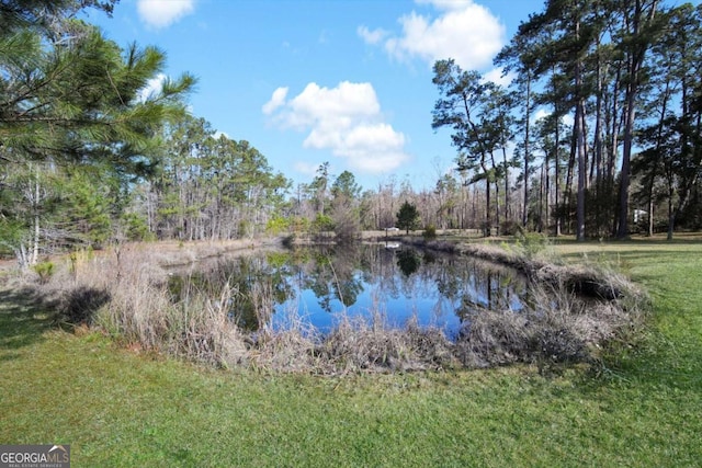 view of water feature with a forest view