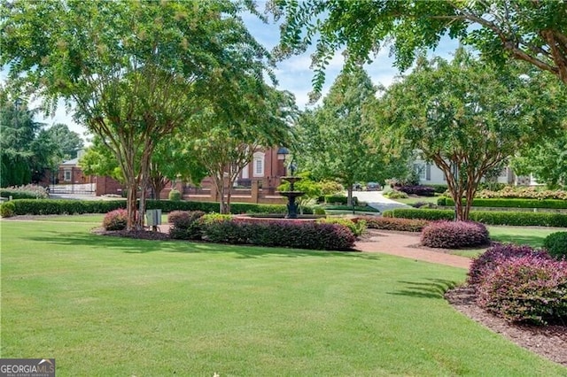 view of home's community with a yard