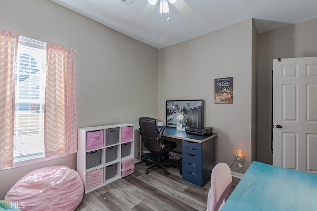 office featuring plenty of natural light, wood finished floors, and a ceiling fan