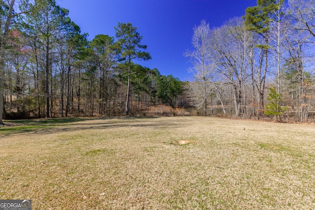 view of yard with a wooded view