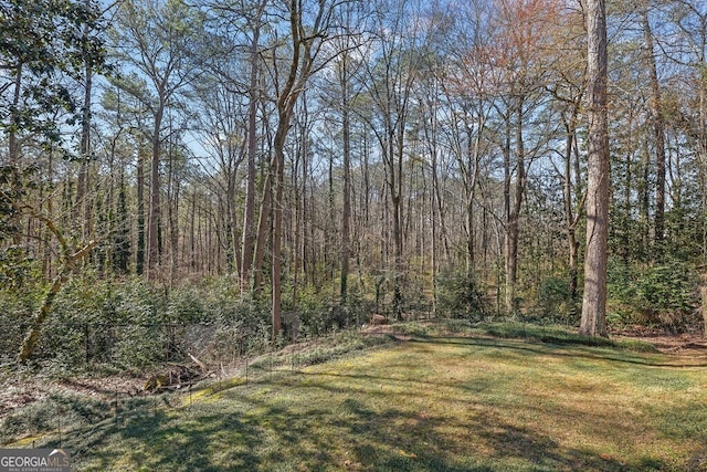 view of yard featuring a wooded view