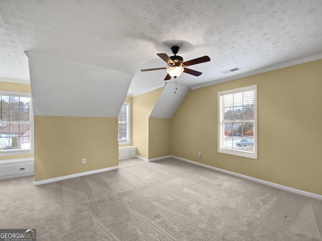 additional living space with a textured ceiling, a wealth of natural light, carpet flooring, and visible vents