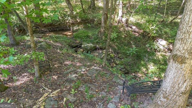 1190 Cobblestone Ln, Bogart, GA 30622 - view of undeveloped land